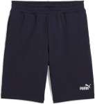 ESS No. 1 Logo Shorts 10